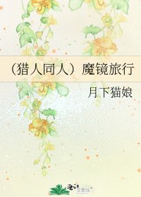 （猎人同人）魔镜旅行